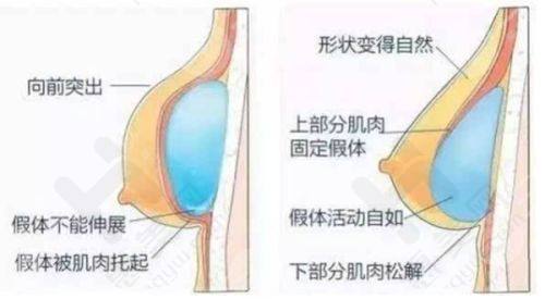 东莞东城紫芯医疗美容门诊部环境如何
