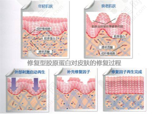 北京嘉禾医疗美容医院实例​