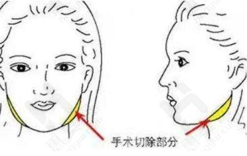 服务质量:以顾客为中 心,贴心周到