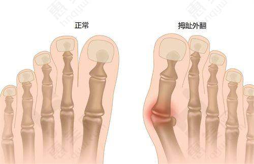 顾客评价与口碑