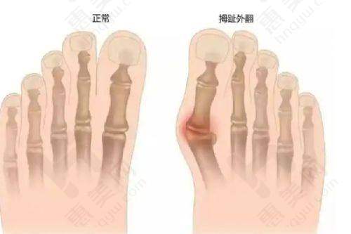 收费情况:透明合理
