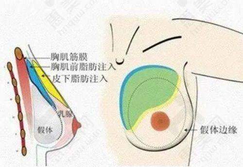 擅长美容项目