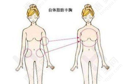 优雅的环境