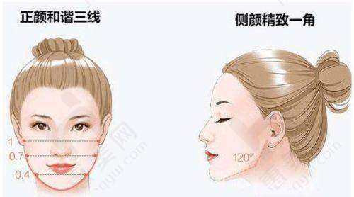 明星项目介绍