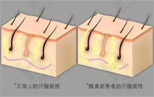与其他医院对比