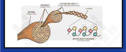 西安俪时代医疗美容门诊部其他优势