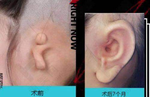 其他医院:各有特色优势