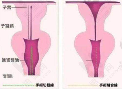 南方医 科 大学皮肤病医院的实力