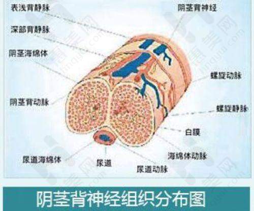 东莞市长安医院皮肤性病科:防治工作显实力