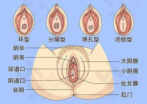 价格查询与决策建议