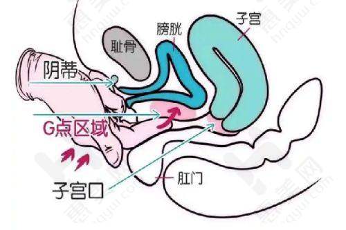品牌合作与影响力