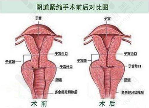 医院科室与服务