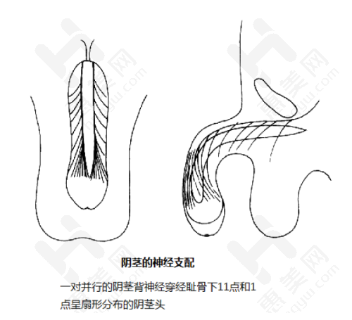 专精团队力量