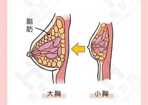 顾客评价实例