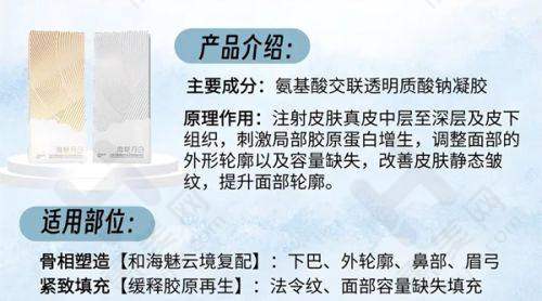 背后的集团实力