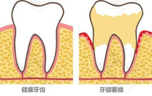 分院情况与发展潜力