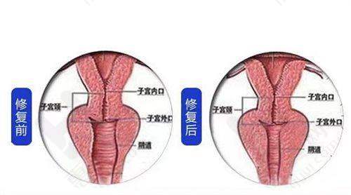 福建医 科 大学附属协和医院皮肤科实力强劲