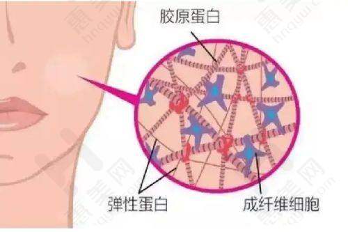 影响丹东光子嫩肤价格的因素