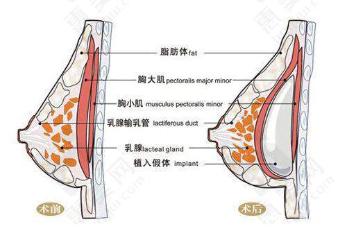 连锁品牌的实力担当