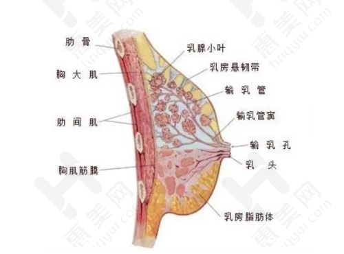 中医和西医结合的私立典范