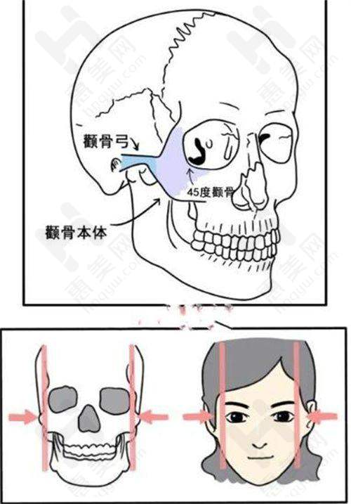 其他沈阳皮肤科医生介绍