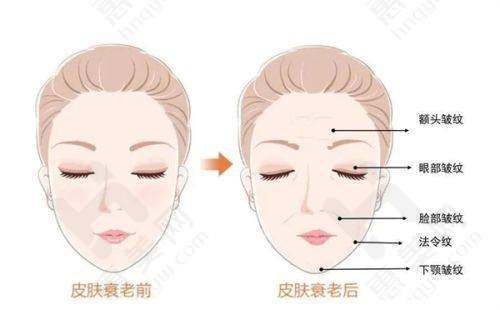 选择合适的医院和价格