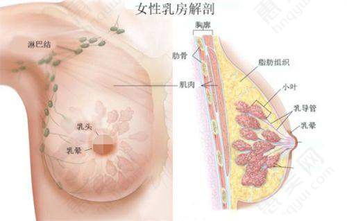 丹东光子嫩肤的注意事项