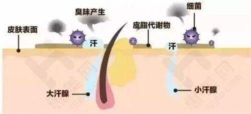 综合皮肤科排名前列医院
