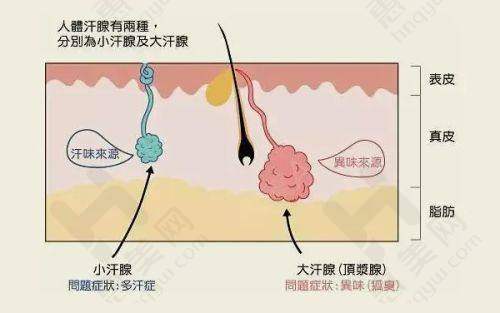 影响长春鼻子整形手术价格的因素