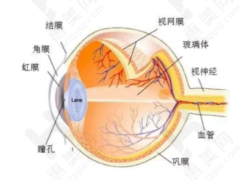 医院资质实力雄厚