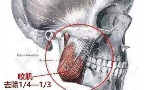 丰富的价格体系