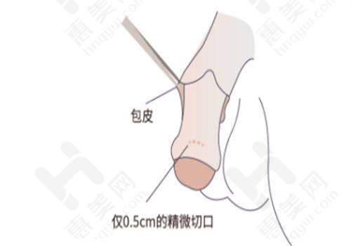便捷的预约方式
