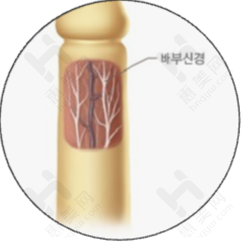 薇旖美胶原水光价格情况