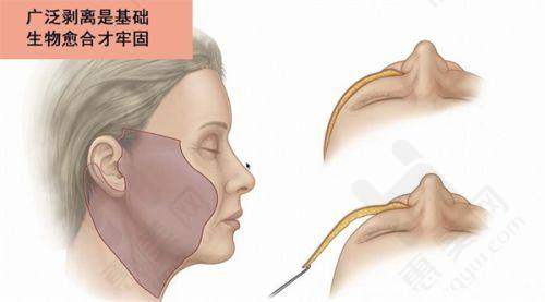 价格违法案不影响实力