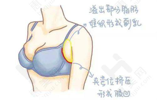 复合水光 - 高定（动能素）的适用人群