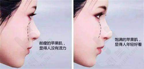 医院项目价格参考