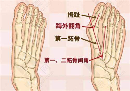擅长项目丰富多样