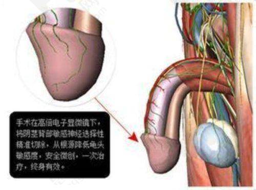 价格与预约方式