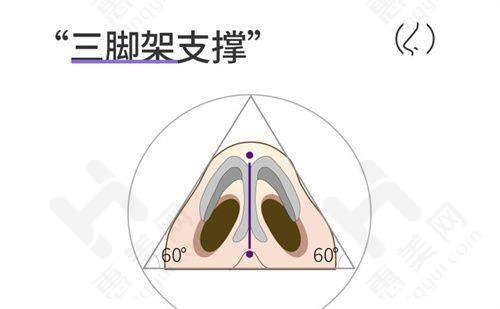 口碑排名靠前
