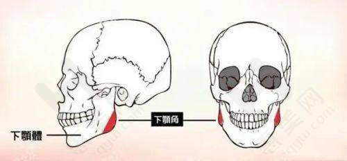隆鼻病例真实可靠