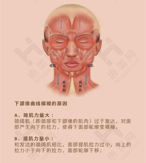 其他医院及医生:多元选择满足不同需求