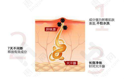 医院擅长项目