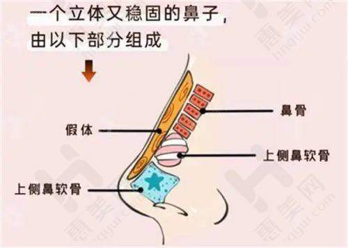 刘春明医生的擅长项目:多样且优质