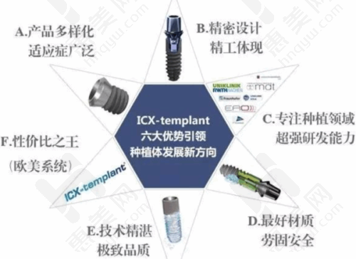 贴心服务与个性化方案