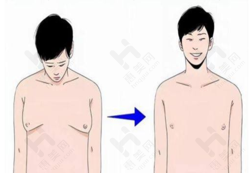 总结与建议