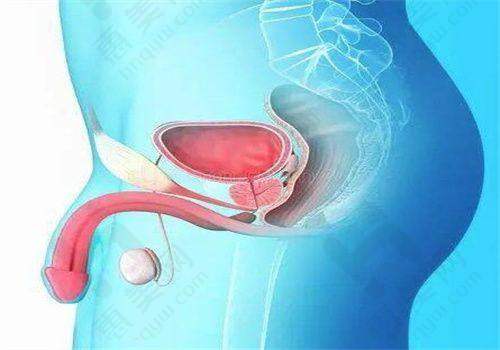 北京丁博士医疗美容诊所打造舒适诊疗环境