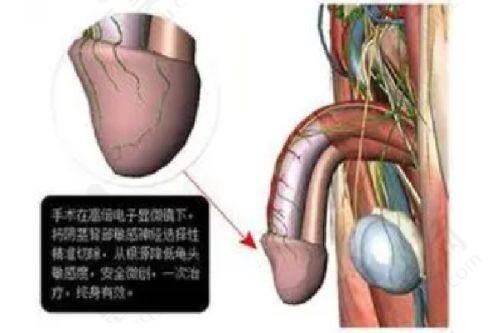 天津欧华威莎医疗美容诊所推出优惠活动与透明价格体系