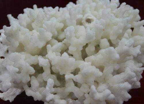 上海南山医院美容外科具备合理价格体系