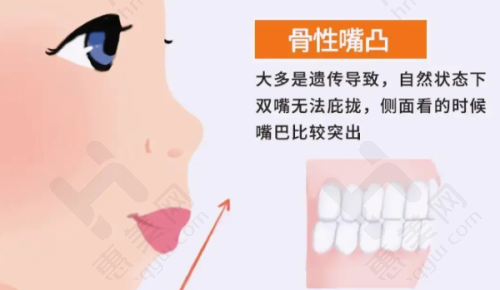 唐山牙博士口腔门诊部(丰润店)的医生团队