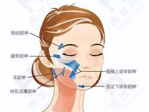 海南伊佳医疗美容医院价格体系